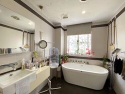 Changi Grove (D17), Semi-Detached #518705941